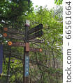里程碑 66561664