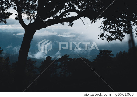 Mountains and green trees in the rainy day Mountains and green trees in the rainy day 66561866