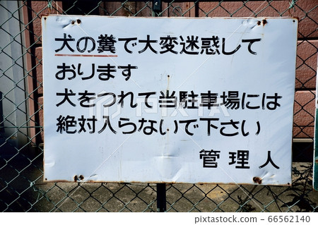 Paper (dog droppings) 66562140