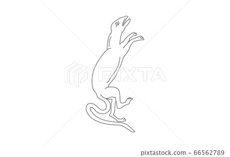 88白色星座無星座線 66562789