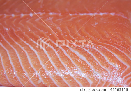 三文魚 66563136
