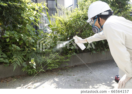 Pest control workers spraying pesticides 66564157