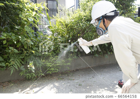 Pest control workers spraying pesticides 66564158