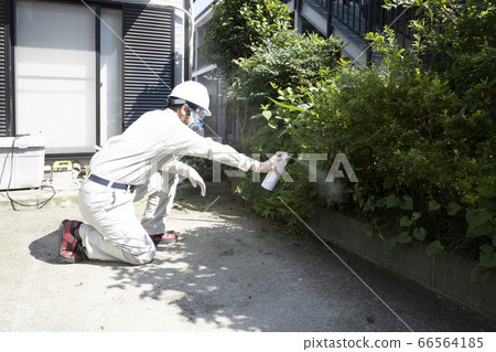 Pest control workers spraying pesticides 66564185