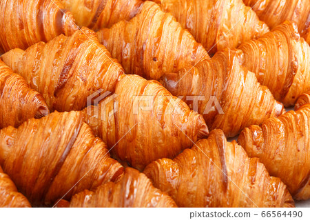 Seamless pattern of tasty french croissant Seamless pattern of tasty french croissant 66564490