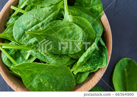 Fresh spinach leaves in wooden bowl on dark Fresh spinach leaves in wooden bowl on dark 66564900