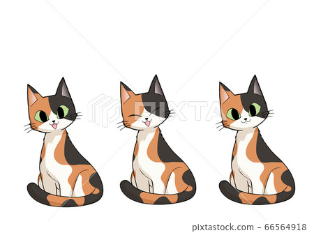 印花布坐（正面）[套裝] 66564918