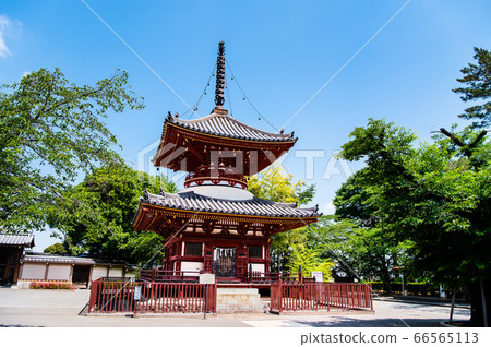 Sa玉縣川越市 66565113