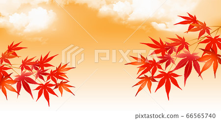  Autumn leaves maple autumn background 66565740