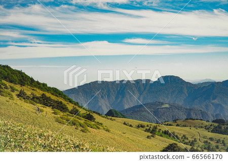 鹿之森的視圖 鹿之森的視圖 66566170