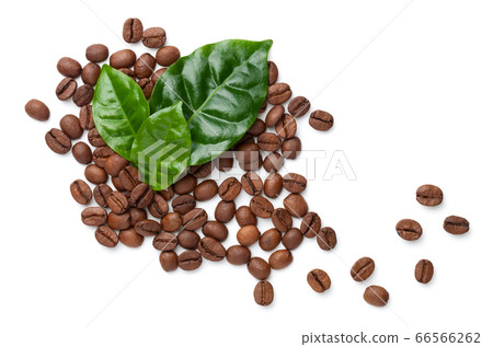Coffee Beans With Green Leaves Isolated Coffee Beans With Green Leaves Isolated 66566262