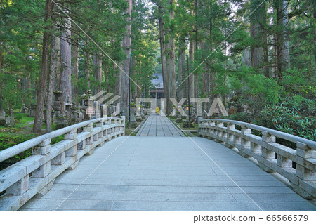 [Koyasan Okunoin (living)] Koyasan, Koya-cho, Ito-gun, Wakayama 66566579