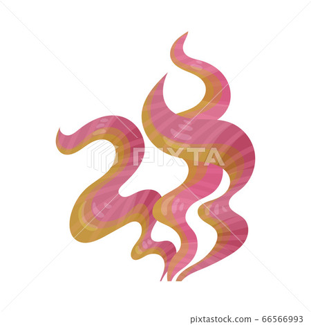 Multicellular Marine Algae Growing on Sea Bottom Vector Illustration 66566993