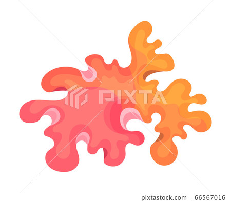 Multicellular Marine Algae Growing on Sea Bottom Vector Illustration Multicellular Marine Algae Growing on Sea Bottom Vector Illustration 66567016