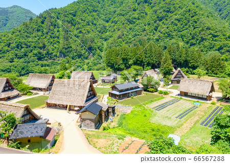 Suganuma Gassho-zukuri village in early summer Suganuma Gassho-zukuri village in early summer 66567288