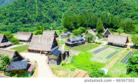 初夏的gan沼合掌祖里村 初夏的gan沼合掌祖里村 66567302