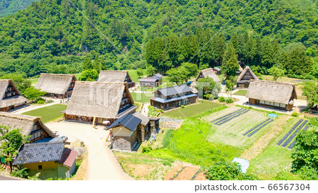 Suganuma Gassho-zukuri village in early summer Suganuma Gassho-zukuri village in early summer 66567304
