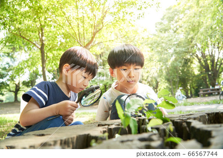 通過放大鏡看的男孩 66567744