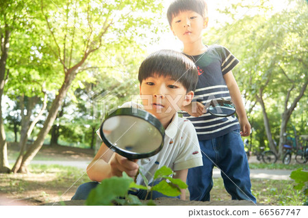 Boy looking through magnifying glass 66567747