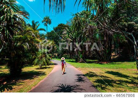 Woman exploring Royal Botanical Gardens in Kandy 66567808