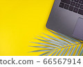 Laptop keyboard and palm leaf decor on yellow background. Workplace, freelance concept. Top view, copy space, flat lay, mock up 66567914