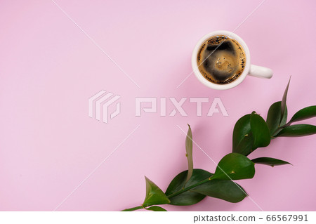 Cup of coffee and green plant branch on white background. Menu, break concept. Top view, copy space, flat lay Cup of coffee and green plant branch on white background. Menu, break concept. Top view, copy space, flat lay 66567991
