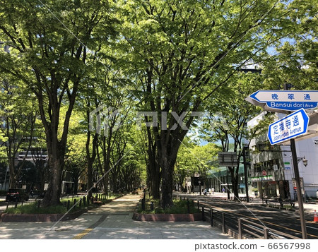 Joshu Temple Street of fresh green Joshu Temple Street of fresh green 66567998