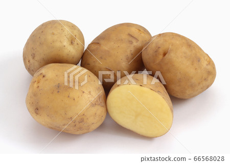 Potato (Saiyu) 66568028