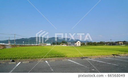 Parking lot in front of rice fields under the blue sky in autumn 66568049