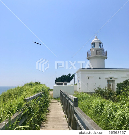 Jogashima Lighthouse Jogashima Lighthouse 66568567