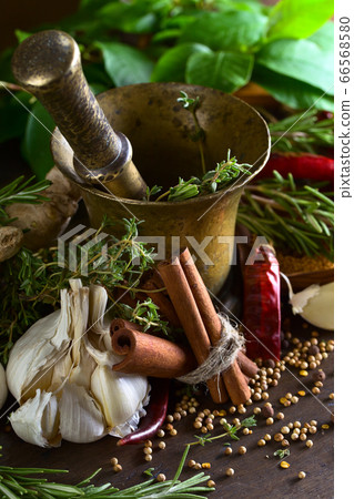 Garlic and different spices . 66568580