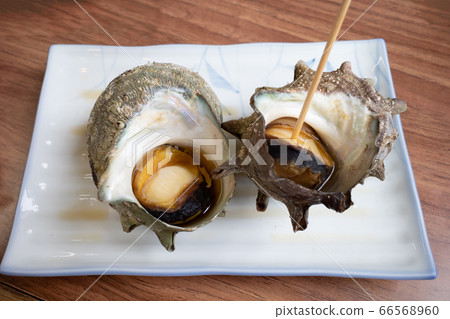 Sazae竹草 Sazae竹草 66568960