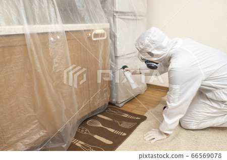 Pest control workers spraying pesticides indoors 66569078