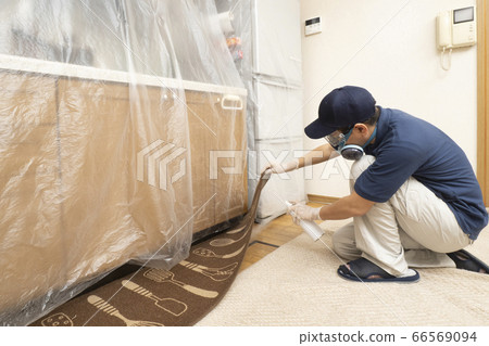 Pest control worker spraying pesticide under carpet 66569094
