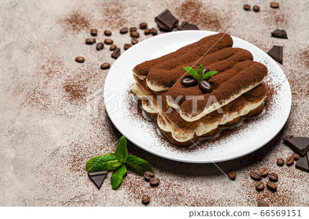 Classic tiramisu dessert on ceramic plate on concrete background Classic tiramisu dessert on ceramic plate on concrete background 66569151