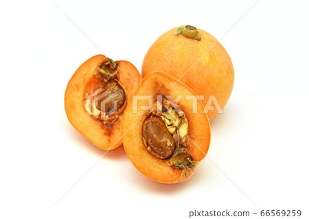 Biwa (from Natsuta) Biwa (from Natsuta) 66569259