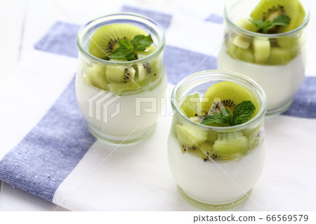 Summer Sweets Kiwi Panna Cotta 66569579
