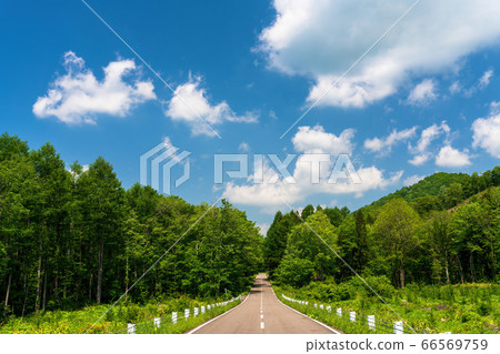 Scenery of Bandai Azuma Lake Line in early summer Blue sky and straight road Inawashiro Town, Fukushima Prefecture Scenery of Bandai Azuma Lake Line in early summer Blue sky and straight road Inawashiro Town, Fukushima Prefecture 66569759
