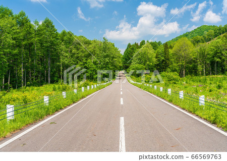 Scenery of Bandai Azuma Lake Line in early summer Blue sky and straight road Inawashiro Town, Fukushima Prefecture Scenery of Bandai Azuma Lake Line in early summer Blue sky and straight road Inawashiro Town, Fukushima Prefecture 66569763