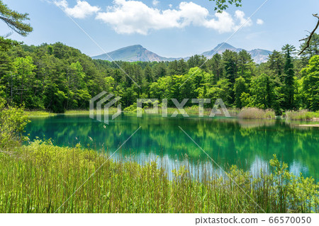 Fresh green scenery of Goshikinuma Nature Exploration Road, Rurinuma and Bandaisan, Kitashiobara Village, Fukushima Prefecture Fresh green scenery of Goshikinuma Nature Exploration Road, Rurinuma and Bandaisan, Kitashiobara Village, Fukushima Prefecture 66570050