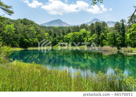 Fresh green scenery of Goshikinuma Nature Exploration Road, Rurinuma and Bandaisan, Kitashiobara Village, Fukushima Prefecture Fresh green scenery of Goshikinuma Nature Exploration Road, Rurinuma and Bandaisan, Kitashiobara Village, Fukushima Prefecture 66570051