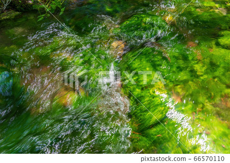 流經福島縣北原原村青沼的小沼沼沼自然探索路的綠色美景 66570110