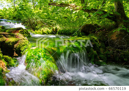 流經福島縣北原原村青沼的小沼沼沼自然探索路的綠色美景 66570119