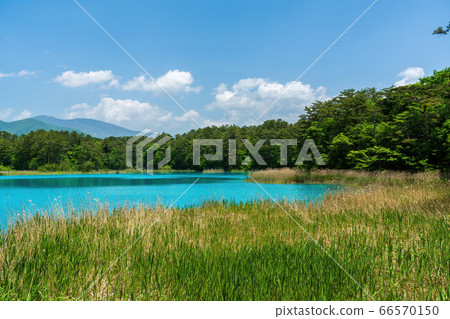 福島縣北尾原村本初沼和西阿祖瑪山初夏的五沼沼自然風景區風景 福島縣北尾原村本初沼和西阿祖瑪山初夏的五沼沼自然風景區風景 66570150