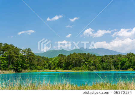 Scenery of Goshinuma natural scenic trail in early summer, Bentenuma and Nishi-Azumayama, Kitashiobara Village, Fukushima Prefecture 66570184