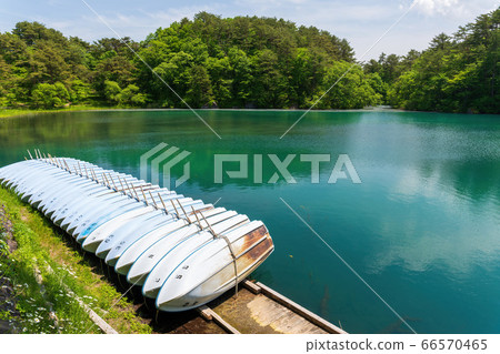 Scenery of Bishamonnuma (Goshikinuma) in early summer Fresh green and lake surface Kitashiobara Village, Fukushima Prefecture 66570465