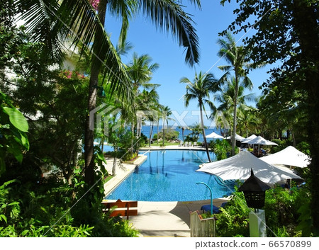 度假村泳池 66570899