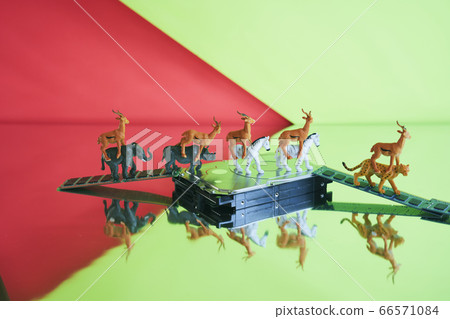 Safari中的硬盤 Safari中的硬盤 66571084