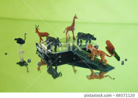 Safari中的硬盤 Safari中的硬盤 66571120