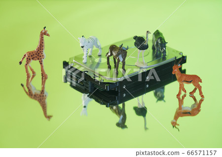 Safari中的硬盤 Safari中的硬盤 66571157